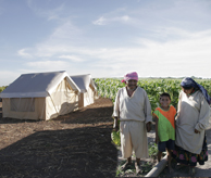 Portable Emergency Shelters